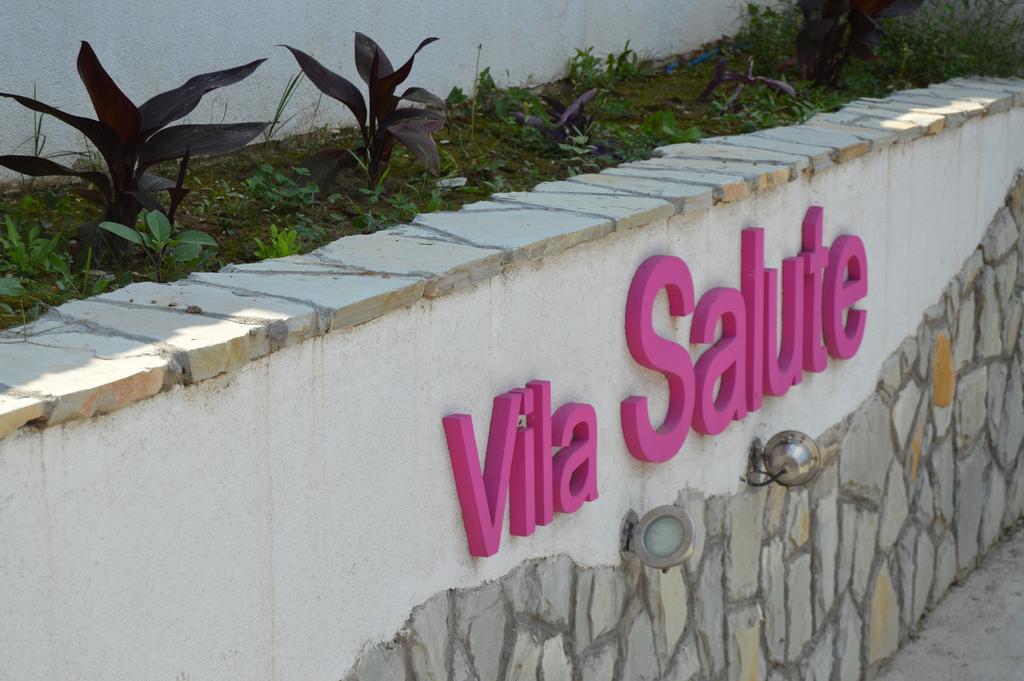 Guest House Vila Salute Nis Exterior photo